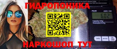 ECSTASY Гагарин