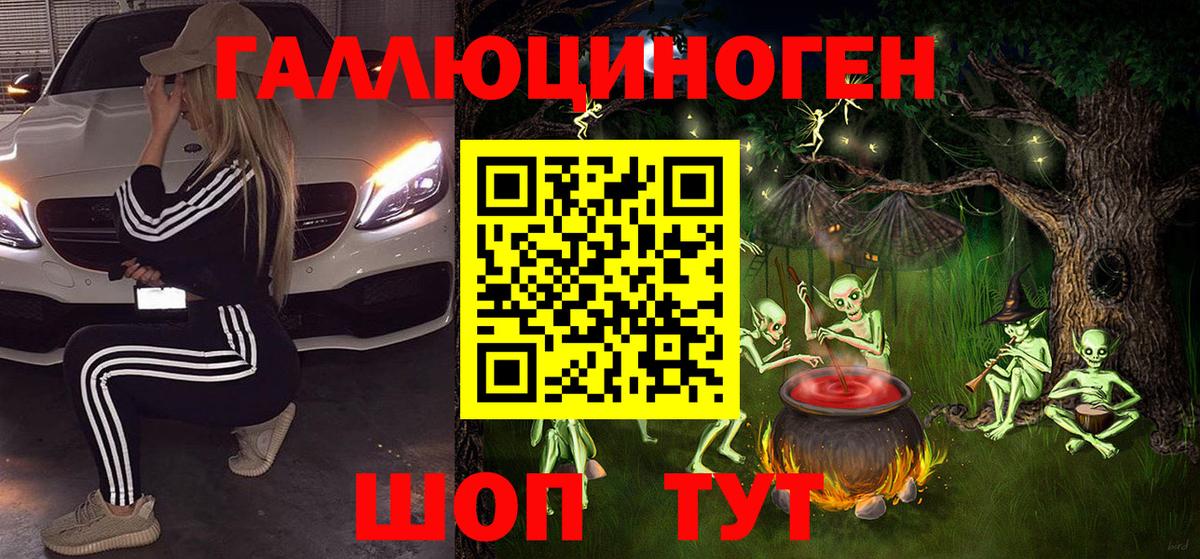 Псилоцибиновые грибы Psilocybe Ейск