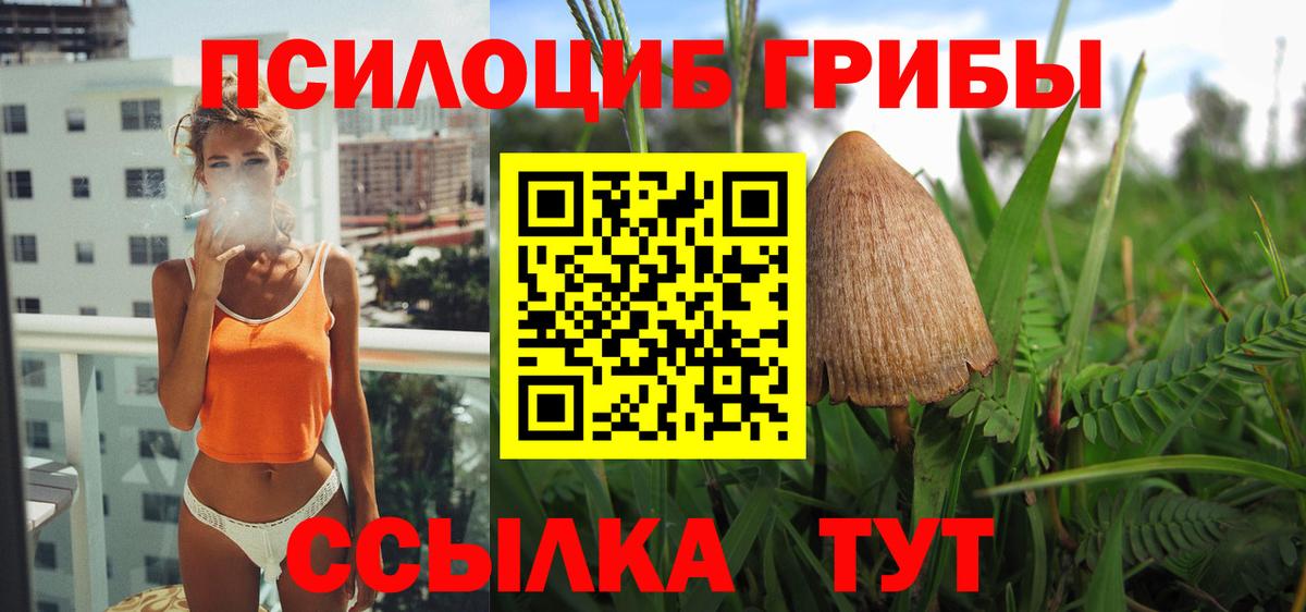 Галлюциногенные грибы мухоморы  где купить   Псилоцибиновые грибы мухоморы  Ейск 