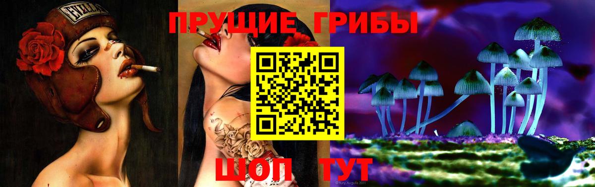 Псилоцибиновые грибы прущие грибы Ейск